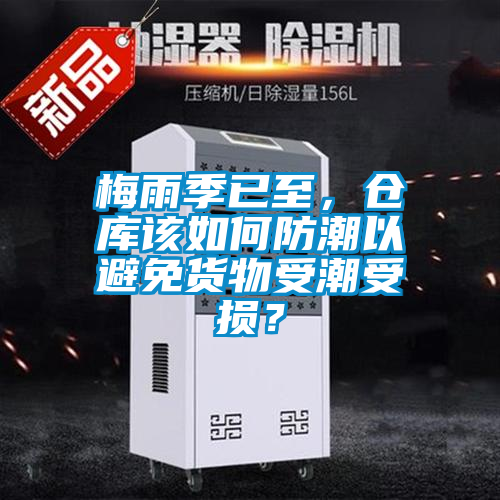 梅雨季已至，倉庫該如何防潮以避免貨物受潮受損？