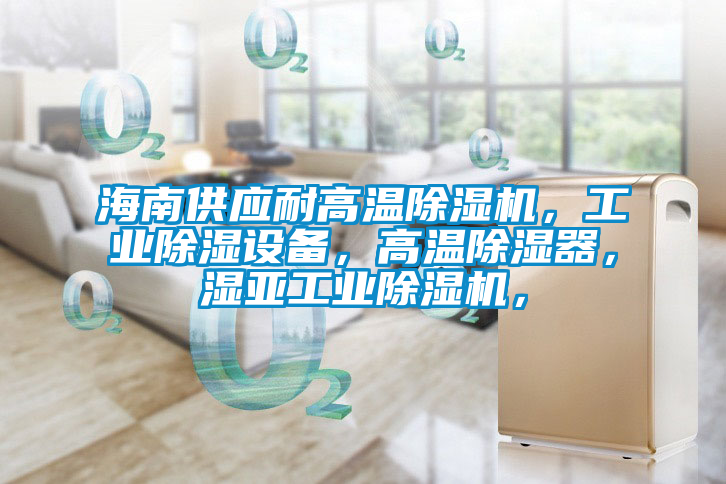 海南供應耐高溫除濕機，工業除濕設備，高溫除濕器，濕亞工業除濕機，
