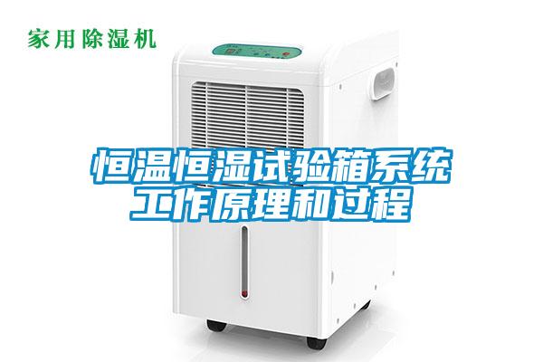 恒溫恒濕試驗(yàn)箱系統(tǒng)工作原理和過(guò)程