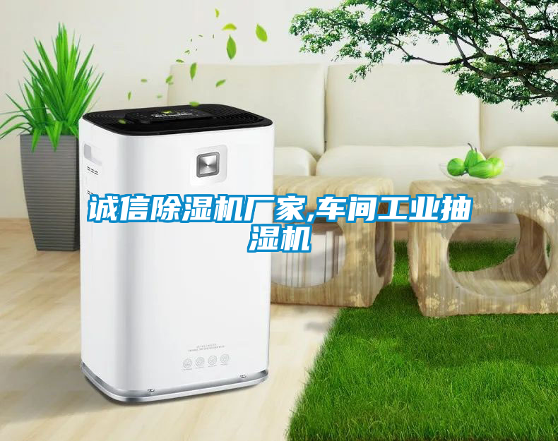 誠(chéng)信除濕機(jī)廠家,車(chē)間工業(yè)抽濕機(jī)