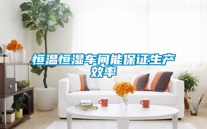 恒溫恒濕車間能保證生產效率