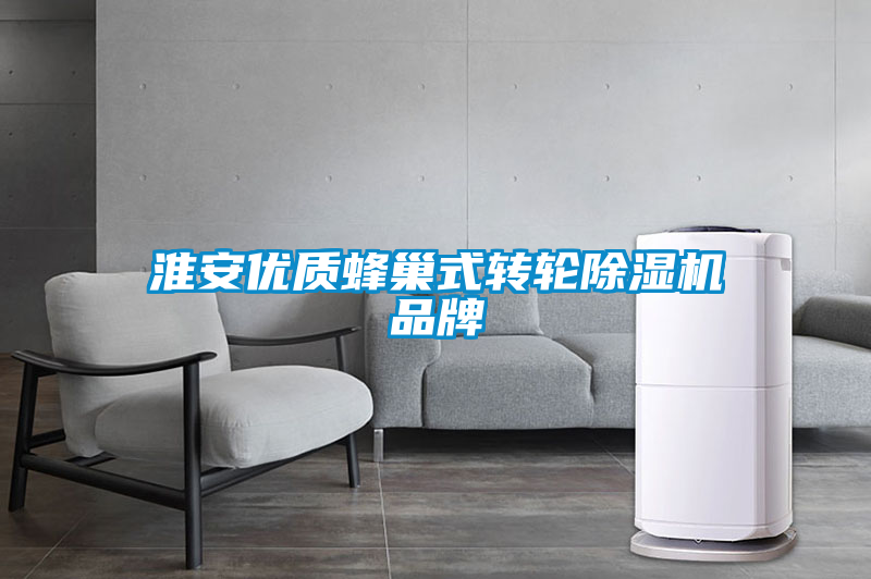淮安優質蜂巢式轉輪除濕機品牌