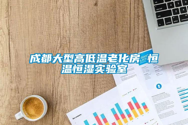 成都大型高低溫老化房 恒溫恒濕實驗室