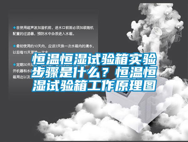 恒溫恒濕試驗箱實驗步驟是什么？恒溫恒濕試驗箱工作原理圖