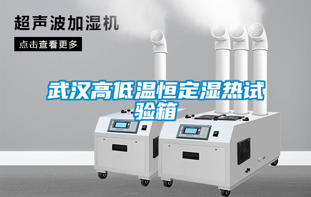 武漢高低溫恒定濕熱試驗箱