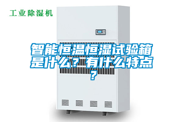 智能恒溫恒濕試驗箱是什么？有什么特點？