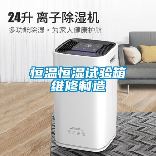 恒溫恒濕試驗箱維修制造