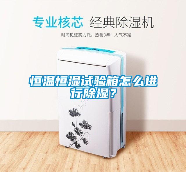 恒溫恒濕試驗箱怎么進行除濕？