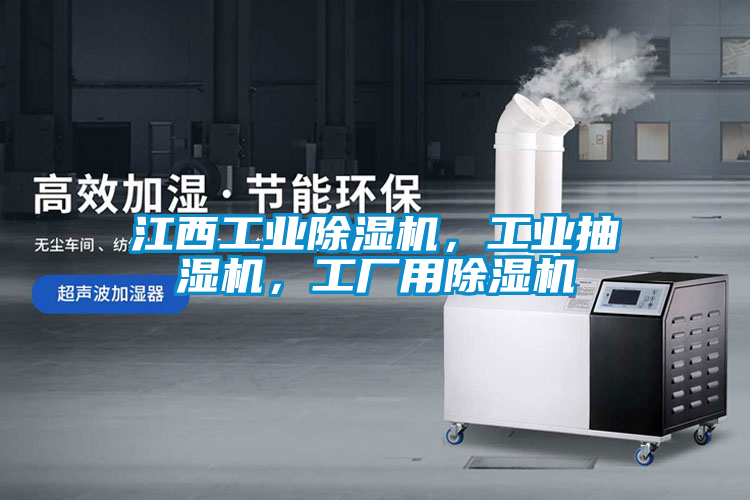 江西工業(yè)除濕機(jī)，工業(yè)抽濕機(jī)，工廠用除濕機(jī)