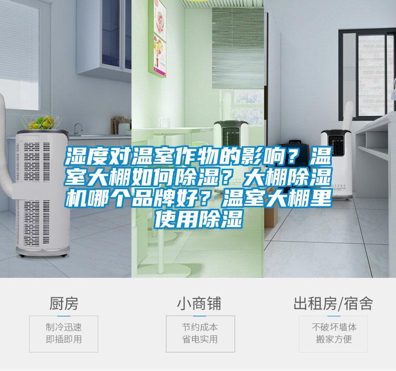 濕度對溫室作物的影響？溫室大棚如何除濕？大棚除濕機哪個品牌好？溫室大棚里使用除濕