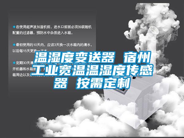 溫濕度變送器 宿州工業寬溫溫濕度傳感器 按需定制