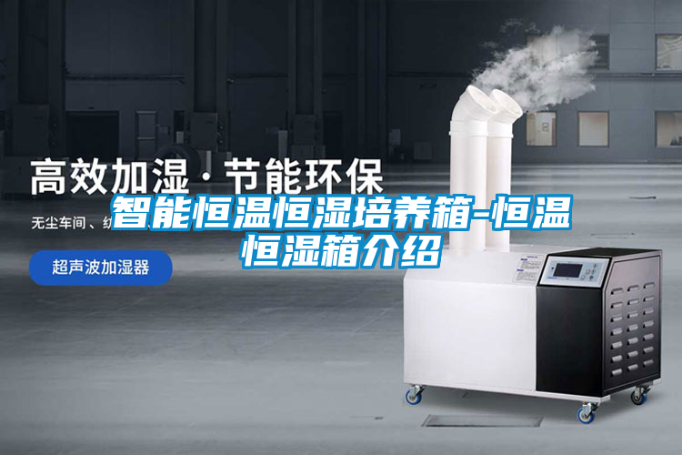 智能恒溫恒濕培養箱-恒溫恒濕箱介紹