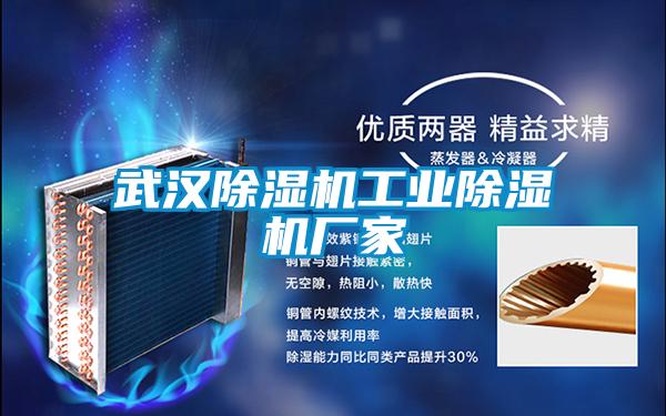 武漢除濕機工業除濕機廠家