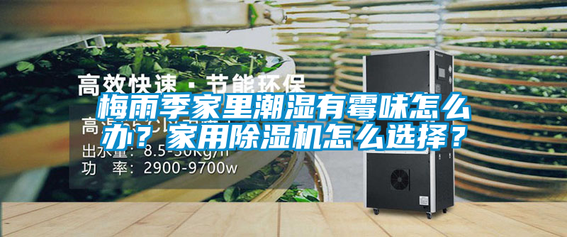 梅雨季家里潮濕有霉味怎么辦？家用除濕機怎么選擇？