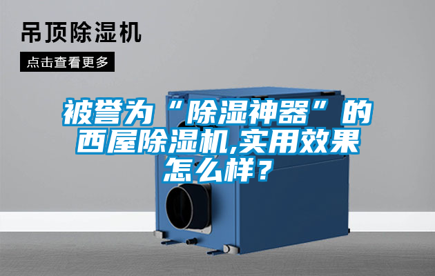 被譽(yù)為“除濕神器”的西屋除濕機(jī),實(shí)用效果怎么樣？