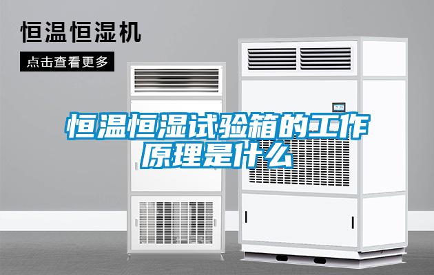 恒溫恒濕試驗箱的工作原理是什么