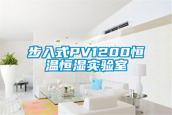 步入式PV1200恒溫恒濕實驗室