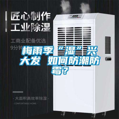 梅雨季“濕”興大發 如何防潮防霉？