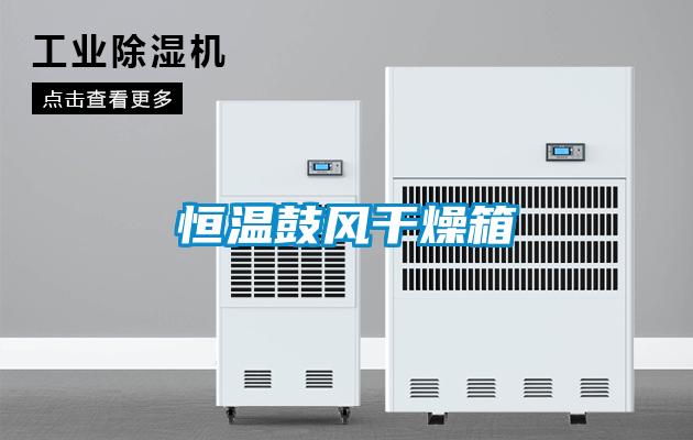 恒溫鼓風干燥箱