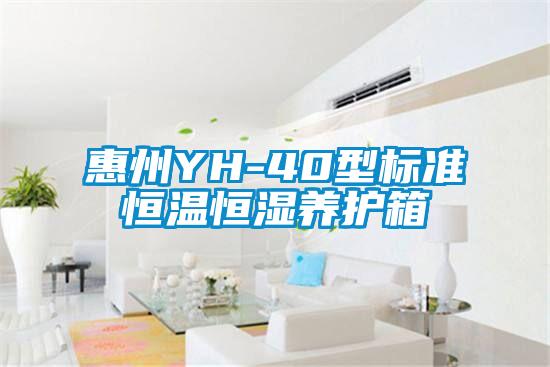 惠州YH-40型標準恒溫恒濕養護箱