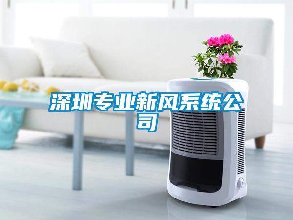 深圳專業新風系統公司