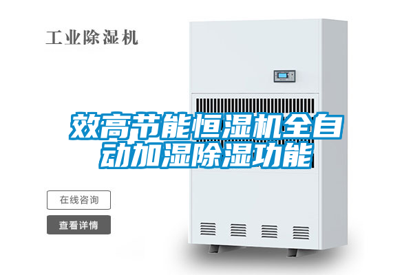 效高節能恒濕機全自動加濕除濕功能
