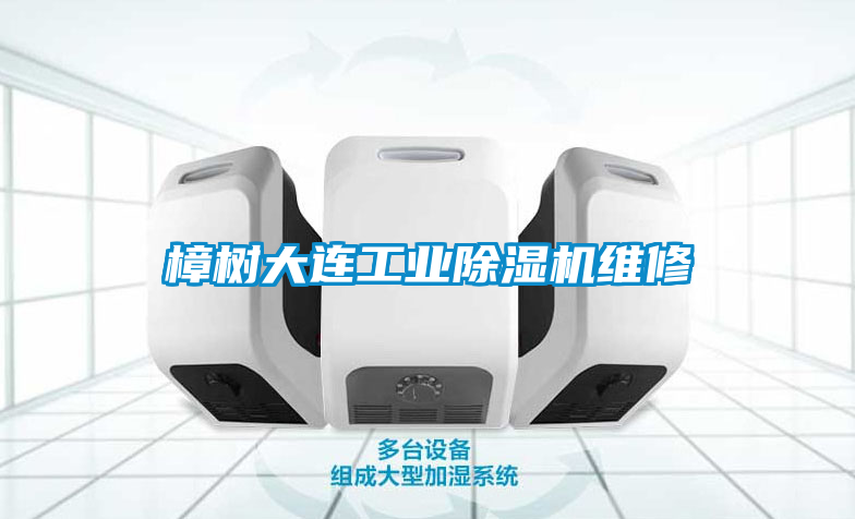 樟樹大連工業除濕機維修