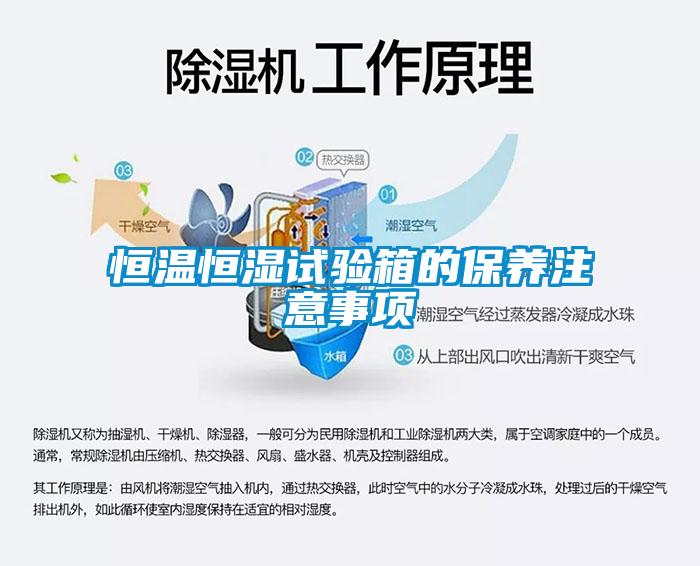 恒溫恒濕試驗箱的保養(yǎng)注意事項
