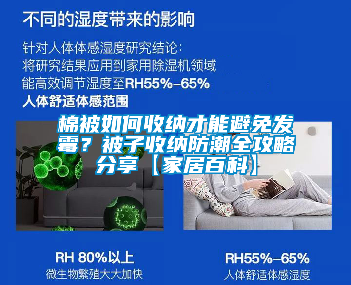棉被如何收納才能避免發霉？被子收納防潮全攻略分享【家居百科】