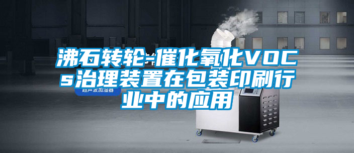 沸石轉輪-催化氧化VOCs治理裝置在包裝印刷行業中的應用
