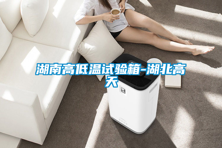 湖南高低溫試驗箱-湖北高天