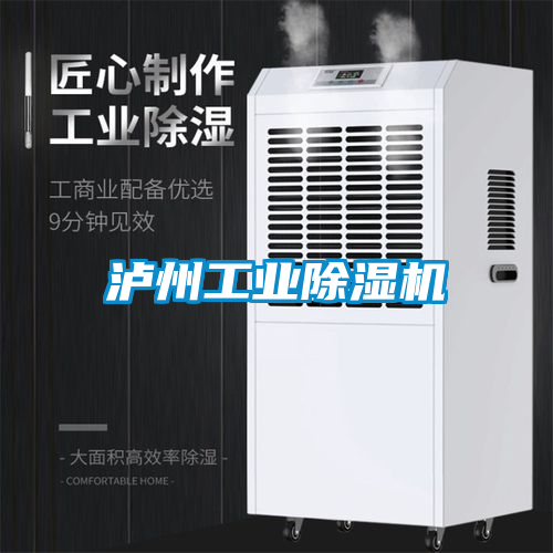 瀘州工業除濕機