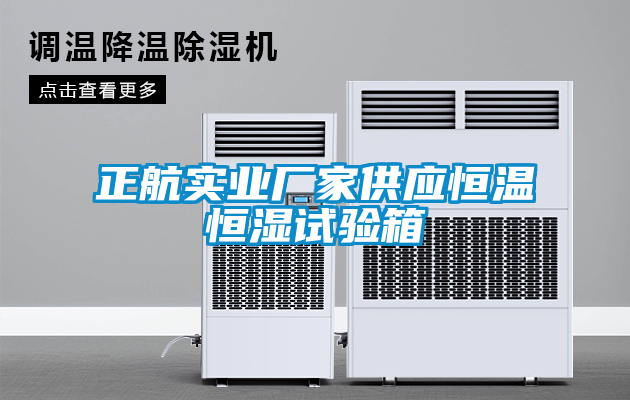 正航實業廠家供應恒溫恒濕試驗箱