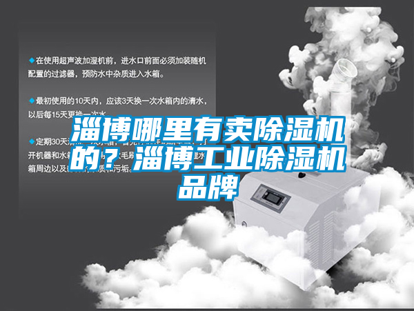 淄博哪里有賣除濕機(jī)的？淄博工業(yè)除濕機(jī)品牌