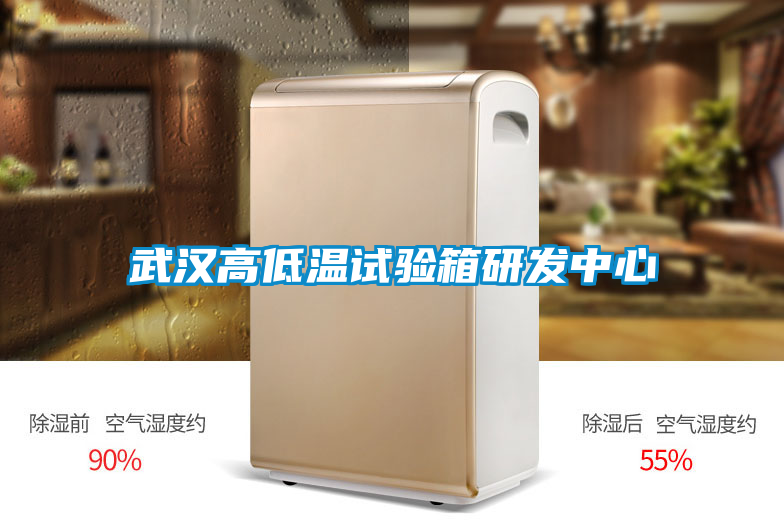 武漢高低溫試驗箱研發中心