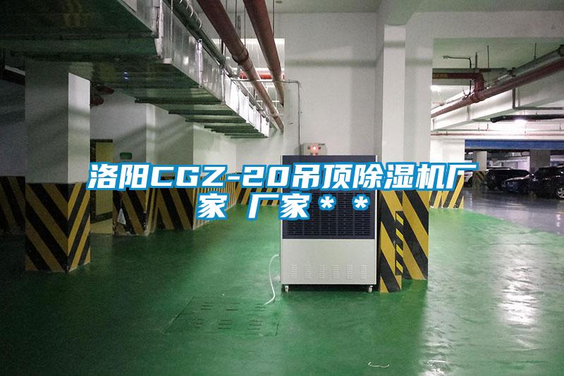 洛陽CGZ-20吊頂除濕機廠家 廠家＊＊