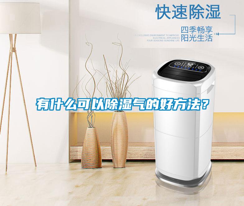 有什么可以除濕氣的好方法？