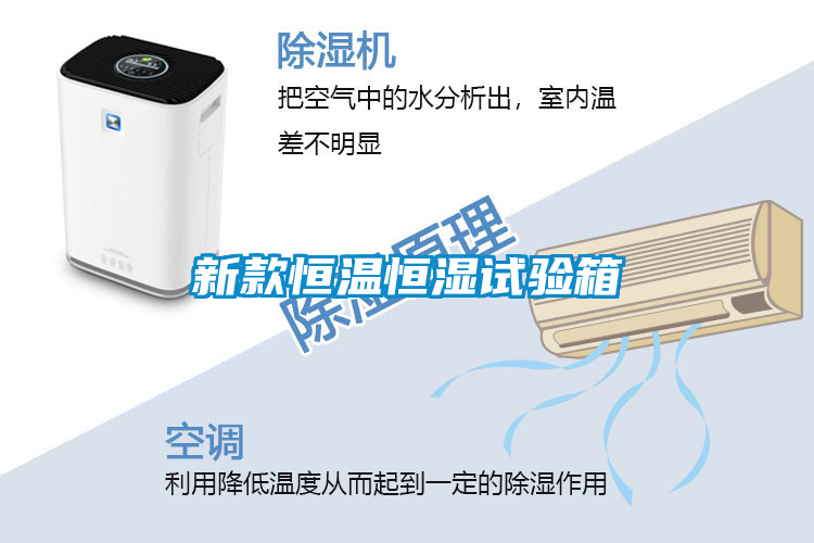 新款恒溫恒濕試驗箱