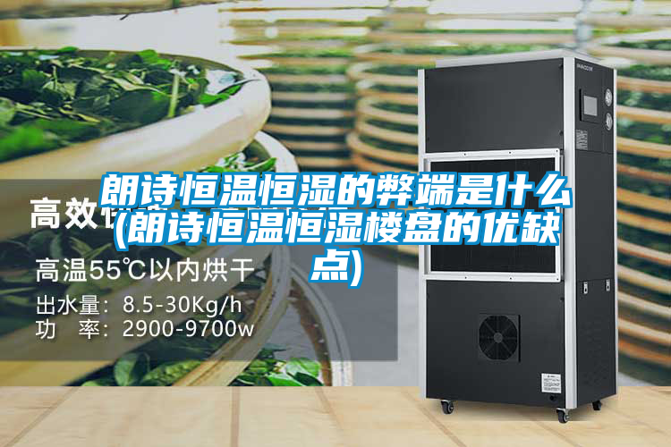 朗詩恒溫恒濕的弊端是什么(朗詩恒溫恒濕樓盤的優(yōu)缺點(diǎn))