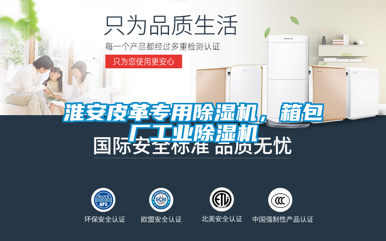 淮安皮革專用除濕機，箱包廠工業除濕機