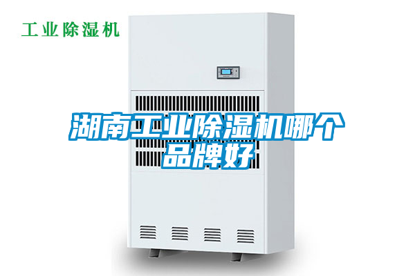 湖南工業除濕機哪個品牌好