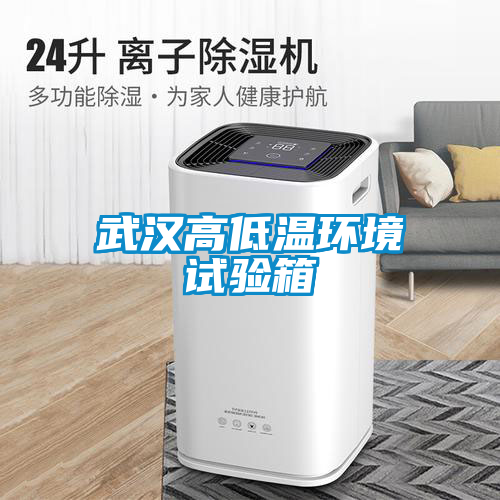 武漢高低溫環境試驗箱