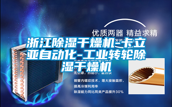 浙江除濕干燥機-卡立亞自動化-工業轉輪除濕干燥機