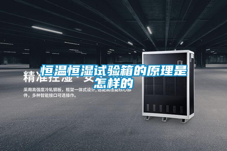 恒溫恒濕試驗箱的原理是怎樣的