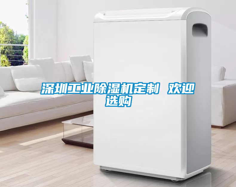 深圳工業除濕機定制 歡迎選購
