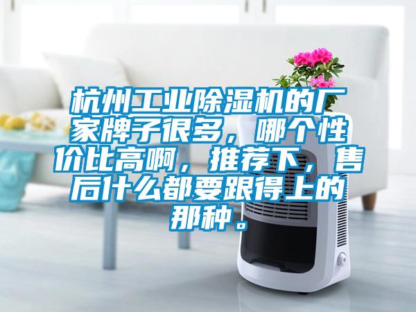 杭州工業除濕機的廠家牌子很多，哪個性價比高啊，推薦下，售后什么都要跟得上的那種。