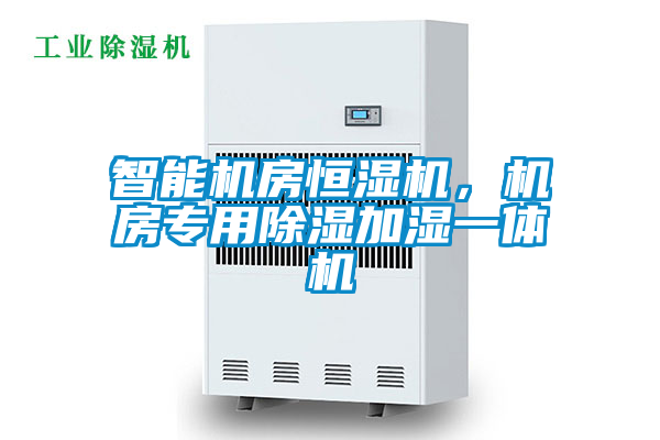智能機房恒濕機，機房專用除濕加濕一體機