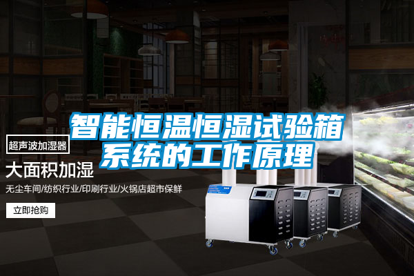 智能恒溫恒濕試驗箱系統的工作原理
