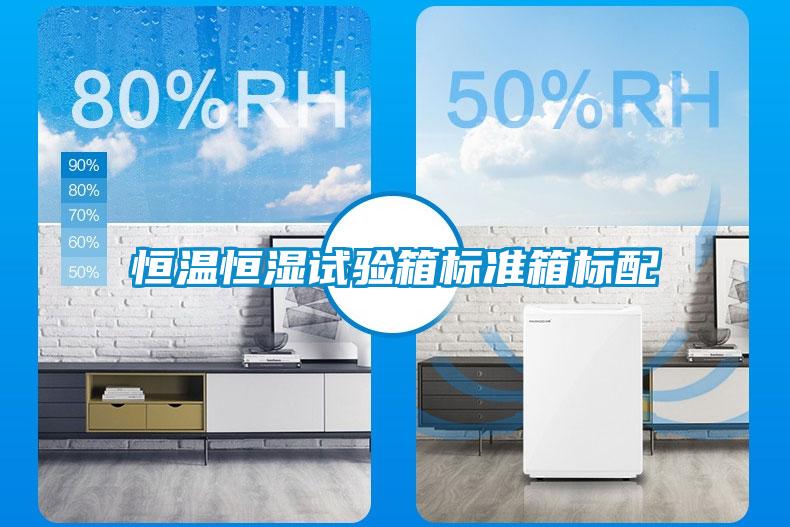 恒溫恒濕試驗箱標準箱標配