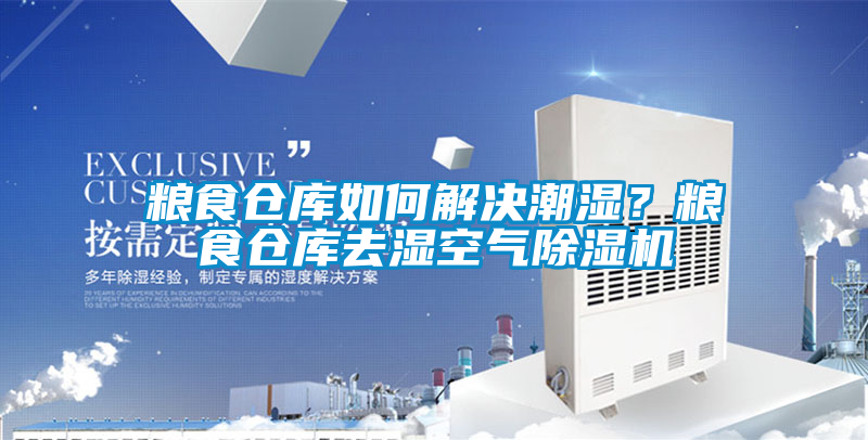 糧食倉庫如何解決潮濕？糧食倉庫去濕空氣除濕機